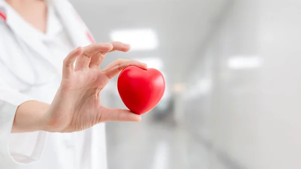 Médecin tenant un cœur rouge au bureau de l'hôpital . — Photo