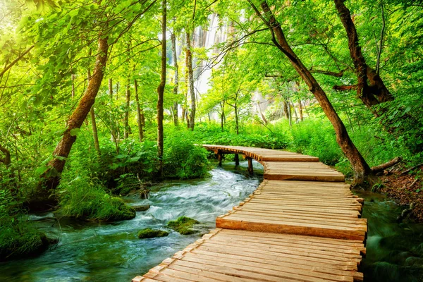 Beau sentier en bois dans le lac de Plitvice, Croatie . — Photo