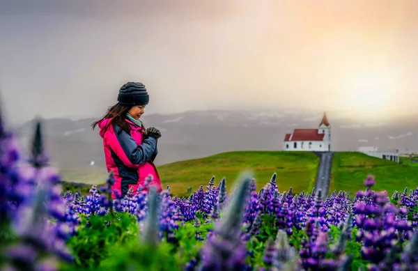 Viajante na Islândia. Igreja e Lupine Flores . — Fotografia de Stock