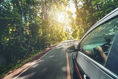 Orman karayolunda yolda araba sürme yan görünümü