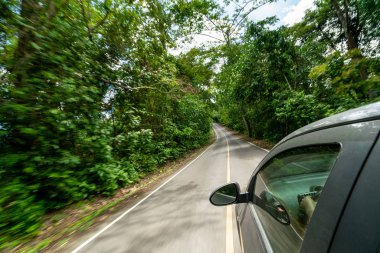 Orman karayolunda yolda araba sürme yan görünümü