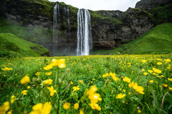 アイスランドの魔法のSeljalandsfoss滝. — ストック写真