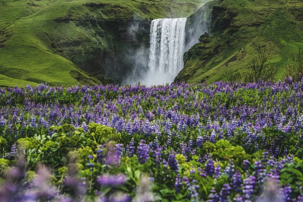 Skogafoss vízesés Izlandon nyáron. — Stock Fotó