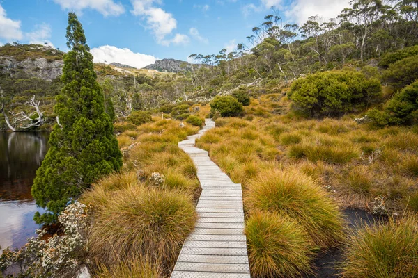 Paisaje de Cradle mountain Tasmania, Australia . —  Fotos de Stock