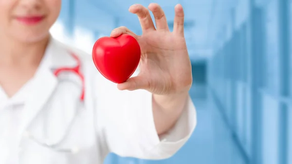 Doctor holding a red heart at hospital office. — Stock Photo, Image