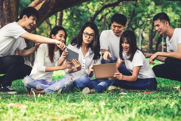 Team of young students studying in the park.