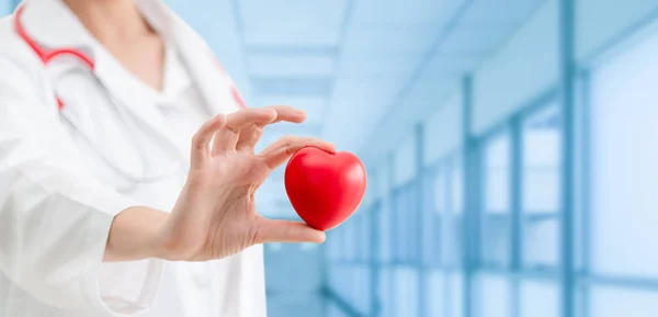 A kórházi irodában vörös szívvel tartott orvos. — Stock Fotó