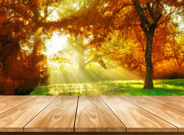 Dřevěný stůl v podzimní krajině s prázdným prostorem. — Stock fotografie