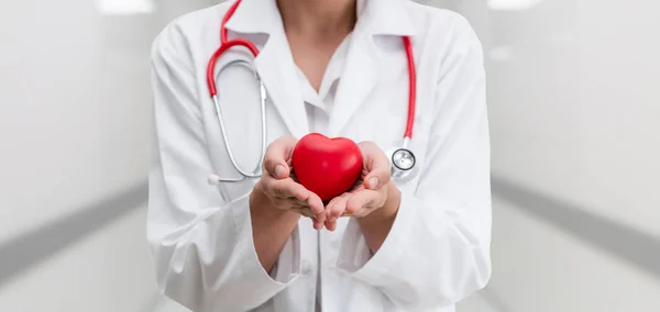 Lekarz posiadający czerwone serce w biurze szpitala. — Zdjęcie stockowe