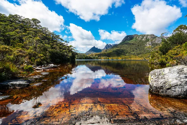 Cradle Mountain National Park, Tasmania, Australia — Stock Photo, Image