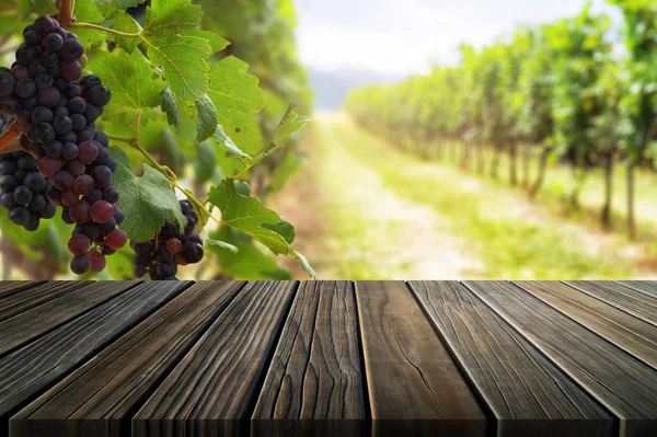 Träbord i den gröna våren vingården landskap. — Stockfoto