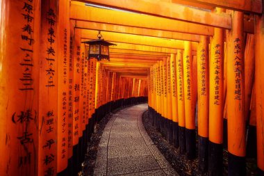 Kyoto Fushimi Inari Kırmızı Torii kapıları, Japonya.
