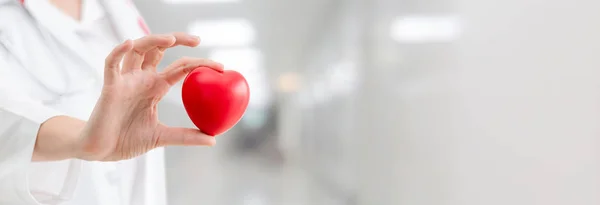 Doctor holding a red heart at hospital office. — Stock Photo, Image