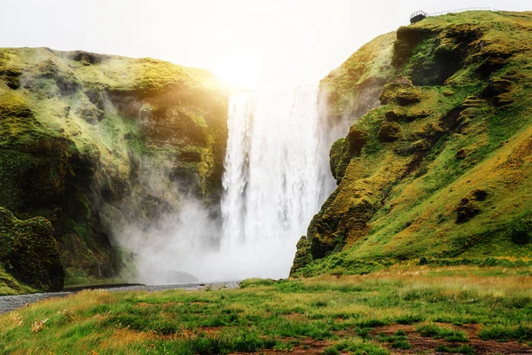 Водоспад Скогафос в Ісландії влітку.. — стокове фото