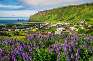 Yaz aylarında Vik i Myrdal İzlanda güzel şehir.