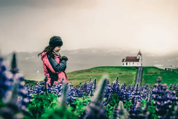 Traveler in Iceland. Church and Lupine Flowers. — Stock Photo, Image