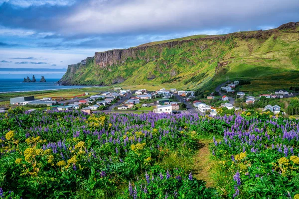 Bela cidade de Vik i Myrdal Islândia no verão . — Fotografia de Stock