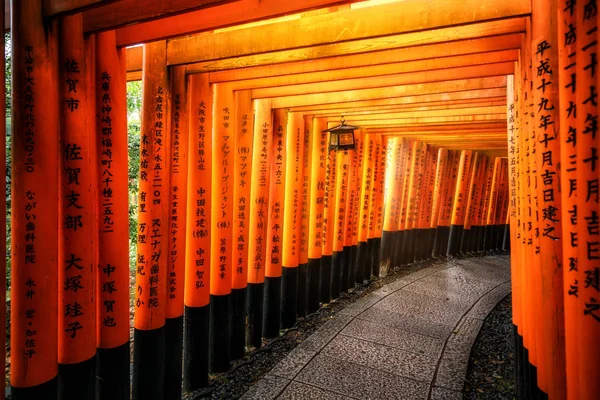 Portas vermelhas do Torii em Fushimi Inari em Kyoto, Japão . — Fotografia de Stock