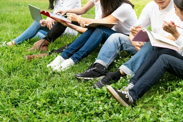 Team junger Studenten, die im Park studieren. — Stockfoto