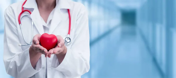 Doctor sosteniendo un corazón rojo en la oficina del hospital . — Foto de Stock