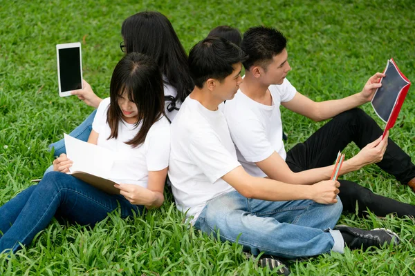 Equipe de jovens estudantes que estudam no parque . — Fotografia de Stock