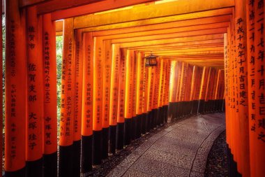 Kyoto Fushimi Inari Kırmızı Torii kapıları, Japonya.