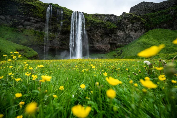 Magischer Seljalandsfoss-Wasserfall in Island. — Stockfoto