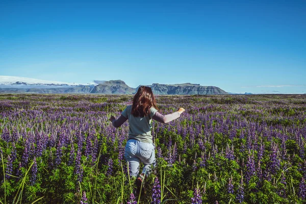 Jovem feliz corre em campo lupin na Islândia . — Fotografia de Stock