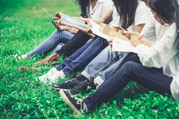 Team junger Studenten, die im Park studieren. — Stockfoto