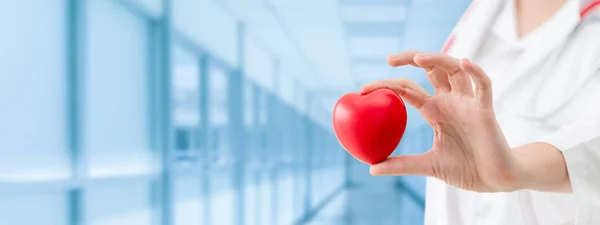 Doctor holding a red heart at hospital office. — Stock Photo, Image