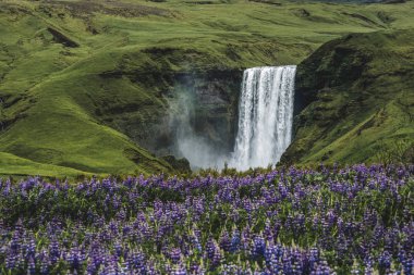 Skogafoss Şelalesi Yazın İzlanda 'da.