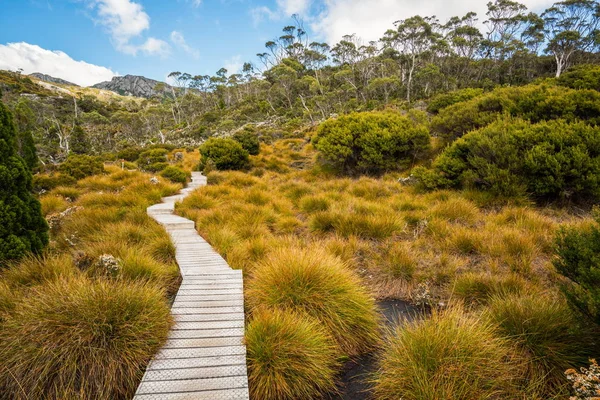 Пейзаж колискою гори Тасманія, Австралія. — стокове фото