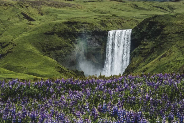 Skogafoss Waterfall in Iceland in Summer. — Stock Photo, Image