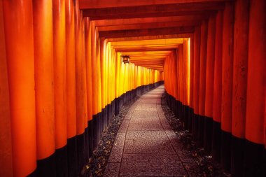 Kyoto Fushimi Inari Kırmızı Torii kapıları, Japonya.