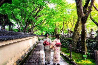 Gezgin in Japanese Garden, Kyoto, Japonya