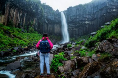 Vatnajokull Svartifoss şelale, İzlanda.