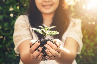 Kadın elinde genç bitki ağacı filizi.