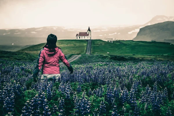 Viajante na Islândia. Igreja e Lupine Flores . — Fotografia de Stock