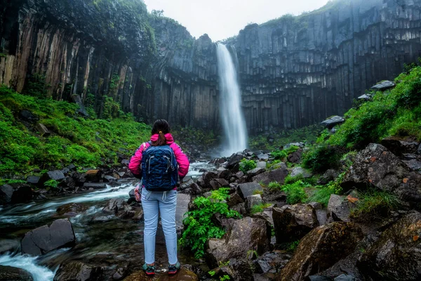 Cascada Svartifoss din Vatnajokull, Islanda . — Fotografie, imagine de stoc