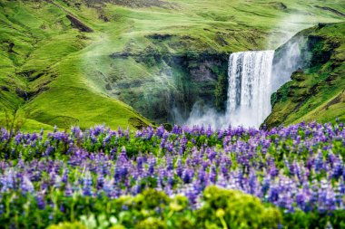 Skogafoss Şelalesi Yazın İzlanda 'da.
