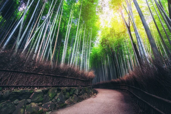 嵐山竹林名所 京都日本 — ストック写真