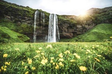 İzlanda 'da Sihirli Seljalandsfoss Şelalesi.