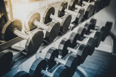 Fitness merkezinde rafta Dumbbells.