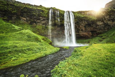 İzlanda 'da Sihirli Seljalandsfoss Şelalesi.