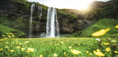 İzlanda 'da Sihirli Seljalandsfoss Şelalesi.