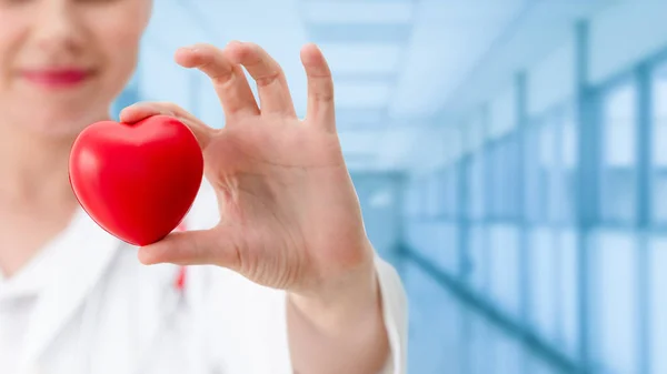 Dokter memegang jantung merah di kantor rumah sakit . — Stok Foto