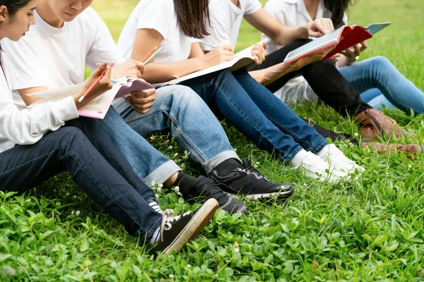 Equipe de jovens estudantes que estudam no parque . — Fotografia de Stock