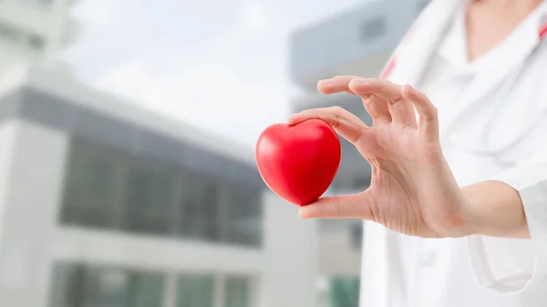 Doctor holding a red heart at hospital office. — Stock Photo, Image