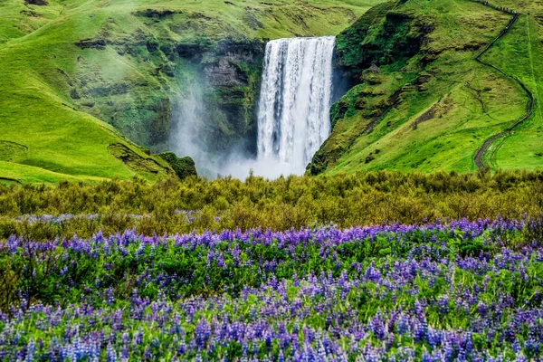 Skogafoss Καταρράκτης στην Ισλανδία το καλοκαίρι. — Φωτογραφία Αρχείου