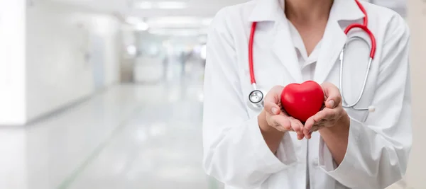 Läkare som innehar ett rött hjärta på sjukhuset kontor. — Stockfoto